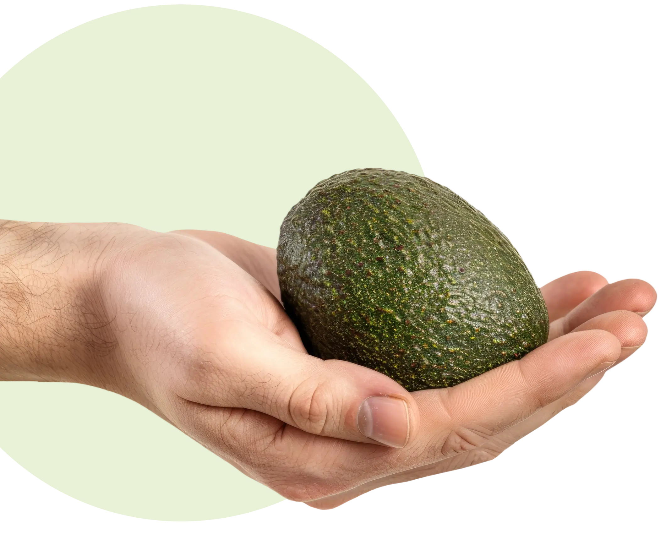 mano aguacate