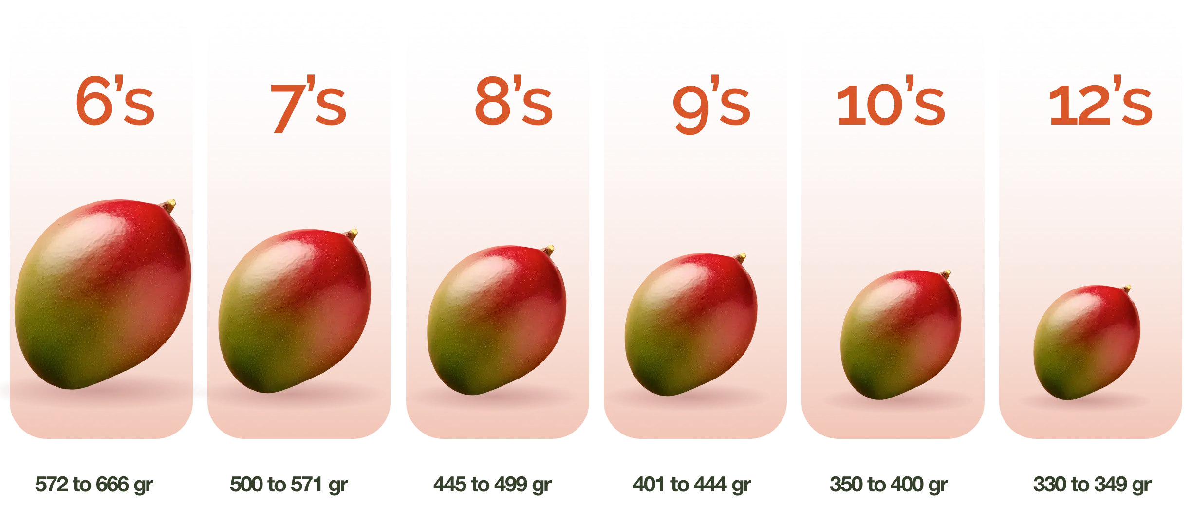 Mango Bola Sizes english desktop