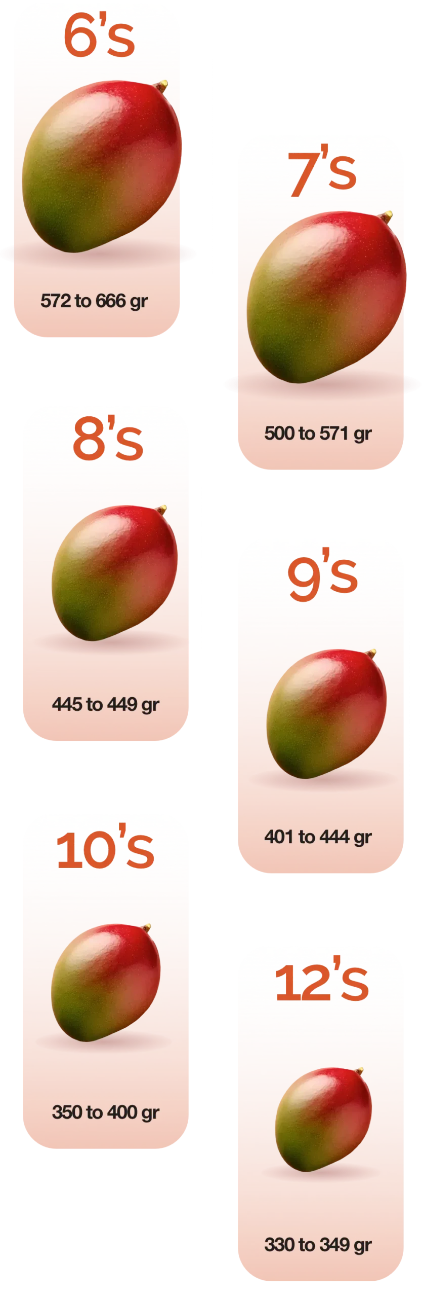 Mango Bola Sizes english mobile scaled