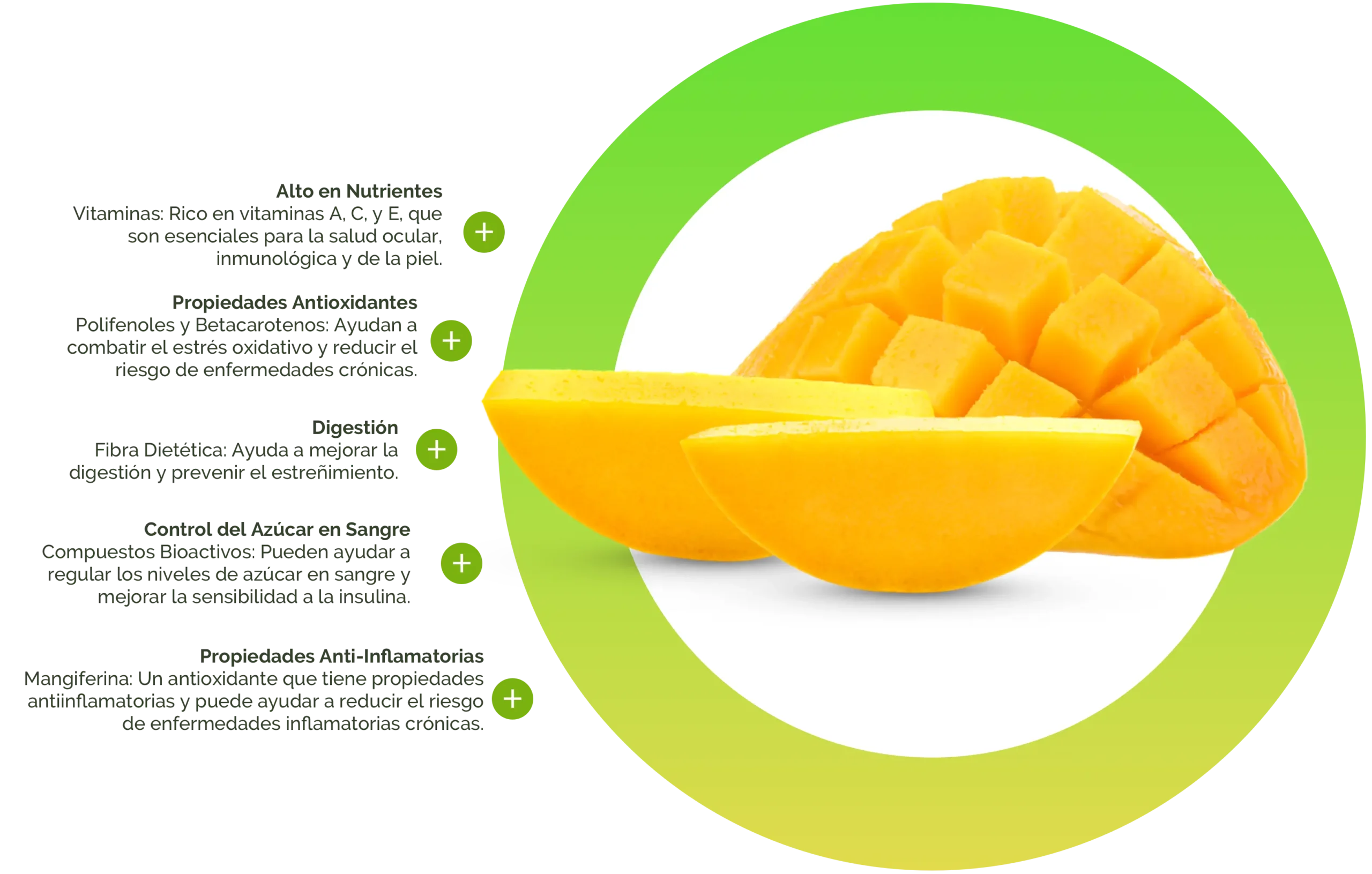 Mango Salud beneficios spanish desktop scaled