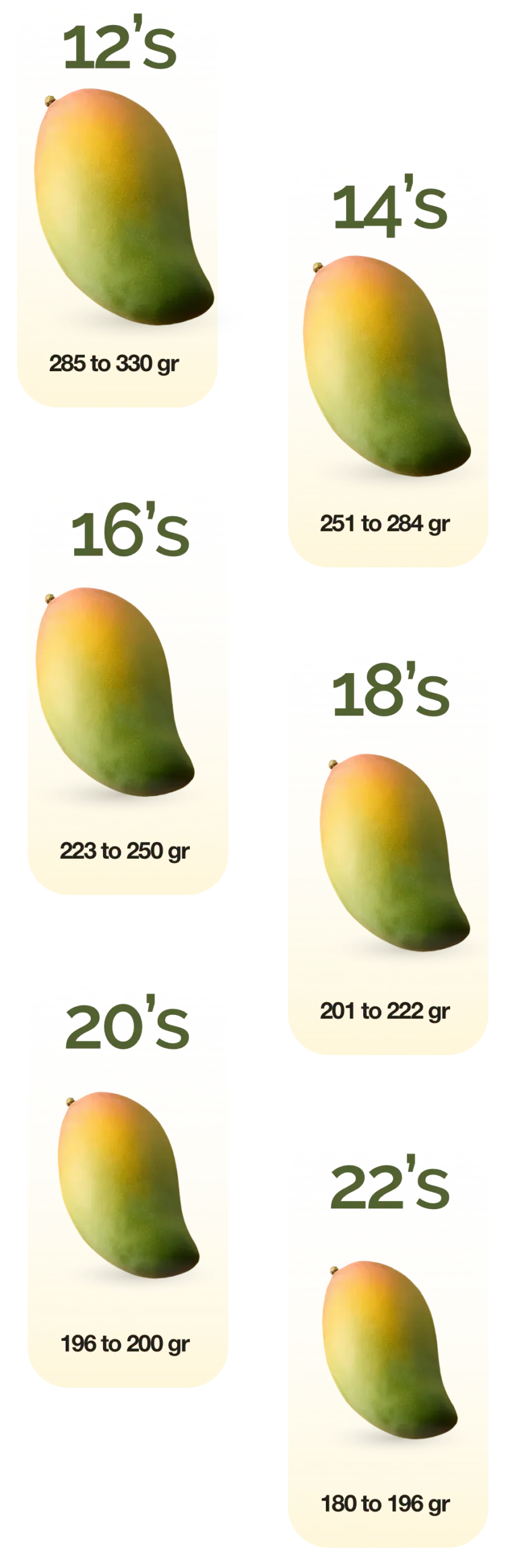 Mango Sizes english desktop 2 scaled