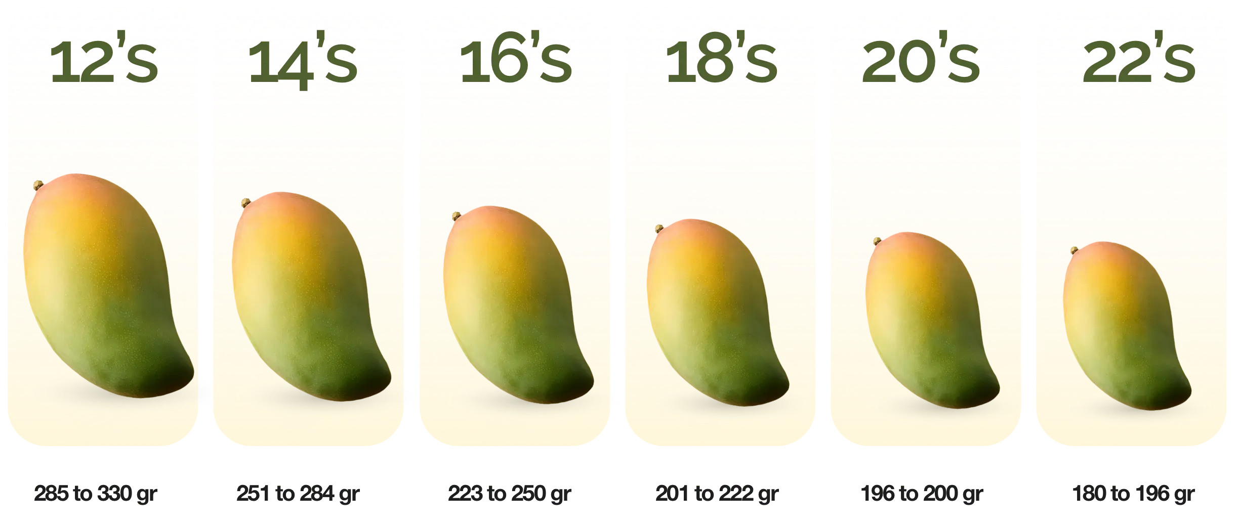 Mango Sizes english desktop