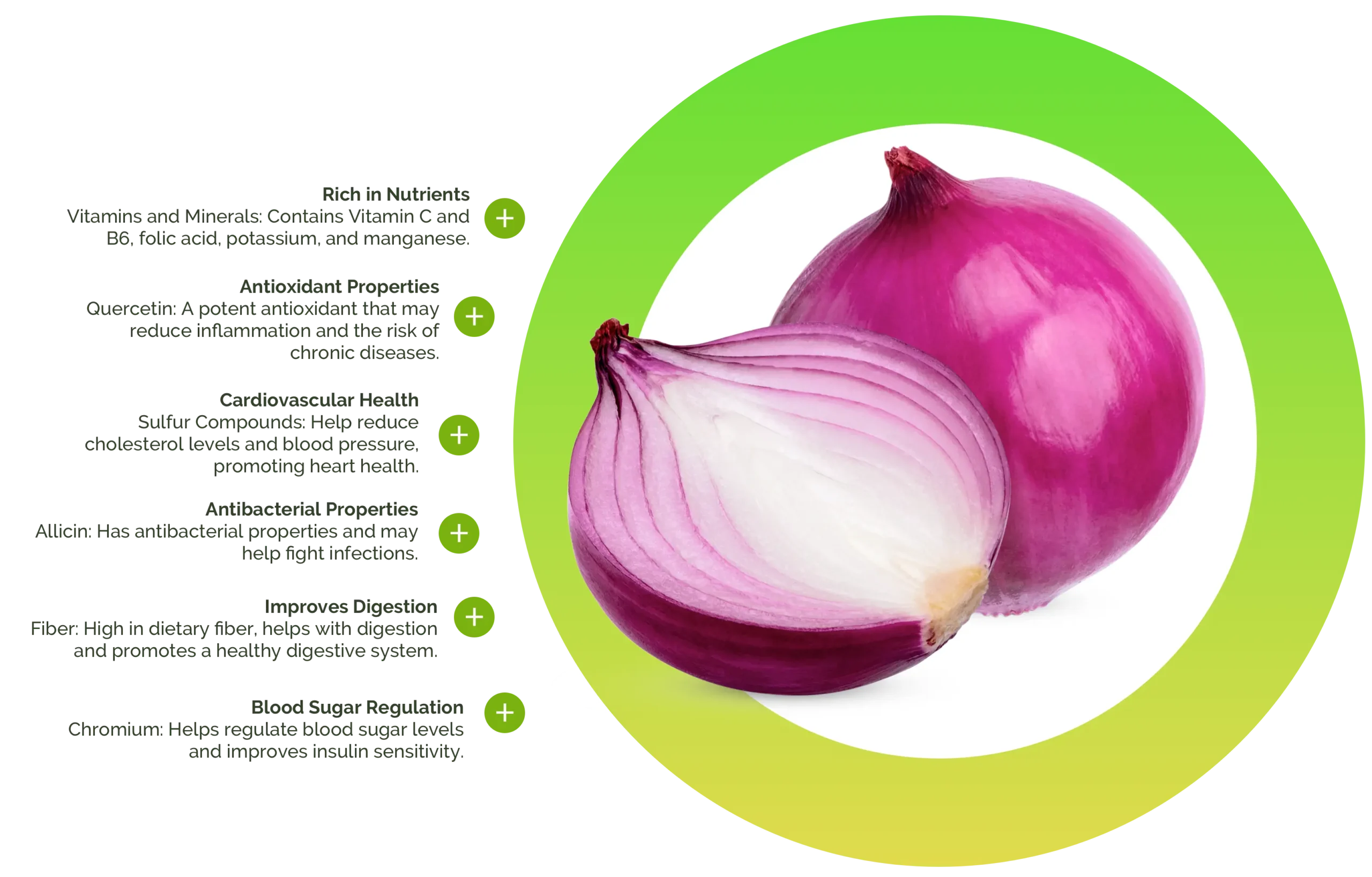 Onion Health Benefits english desktop scaled