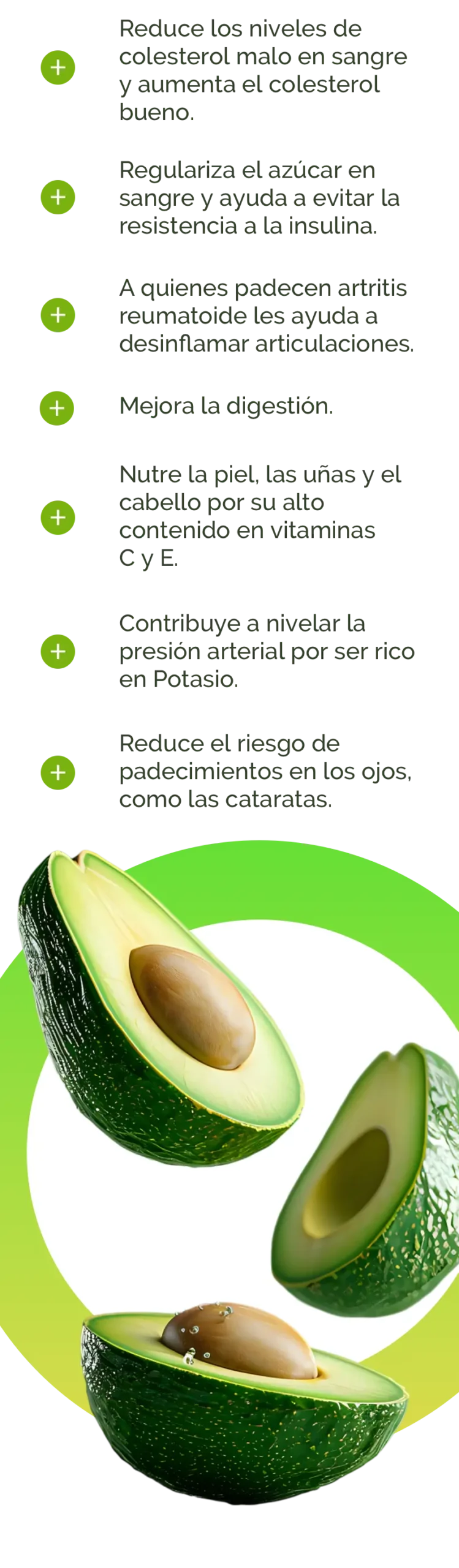 avocado info mobile1 scaled