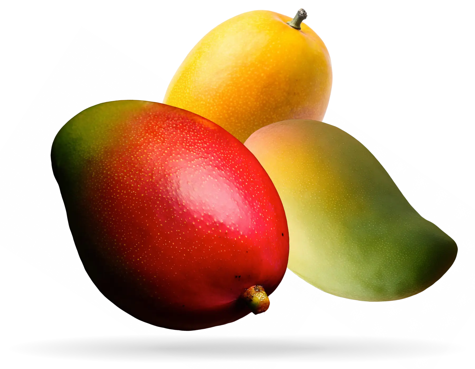 mangos right3